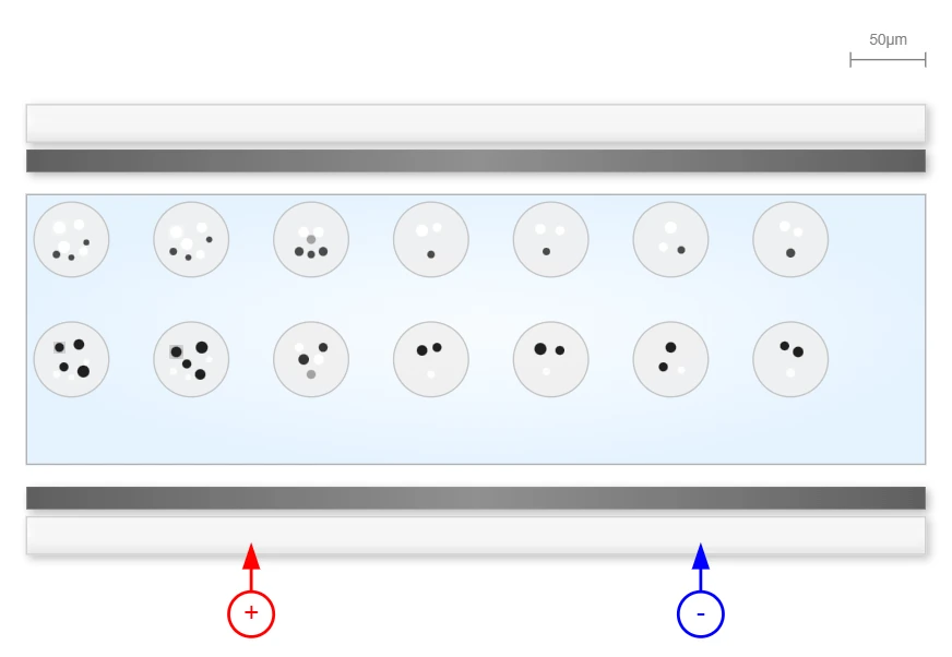 Electrophoretic Display Technology
